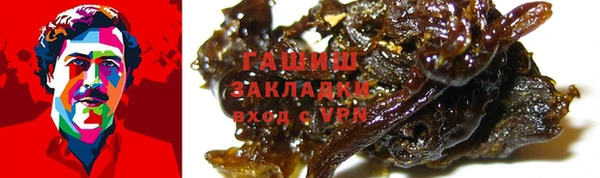 2c-b Ельня