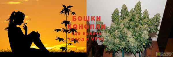 mdpv Заводоуковск