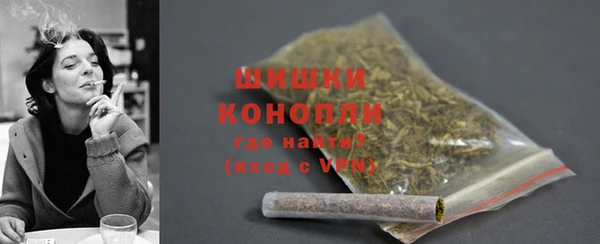2c-b Ельня