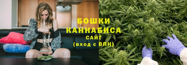mdpv Заводоуковск